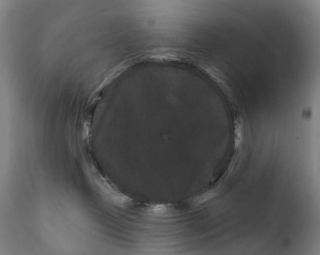 X0000111640382200907311258