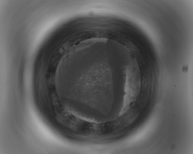 X0000111640383200907311258