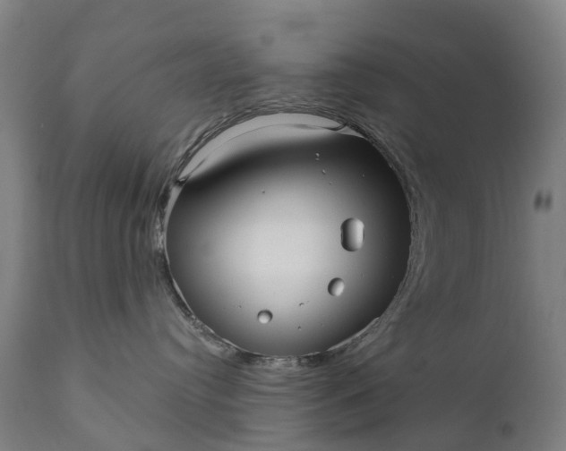 X0000111640384200907311258