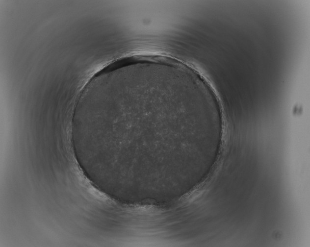 X0000111640385200907311257