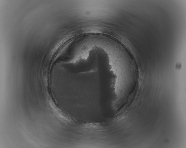 X0000111640386200907311257