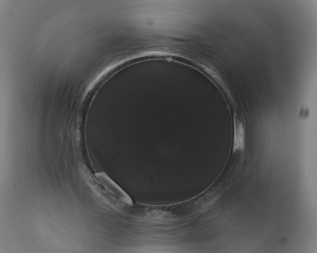 X0000111640387200907311257