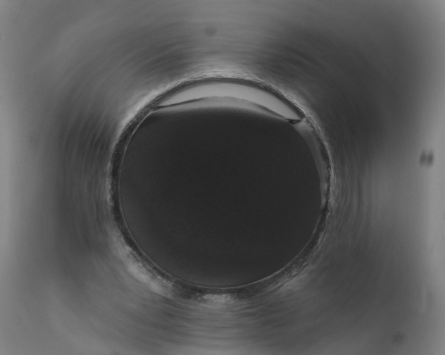 X0000111640391200907311257