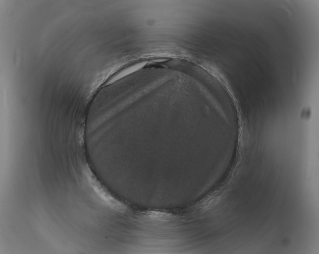 X0000111640393200907311257