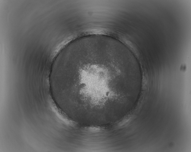 X0000111640394200907311257