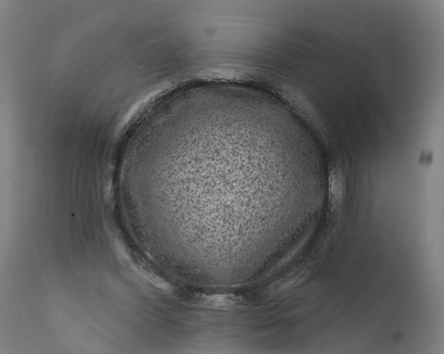 X0000111640396200907311257