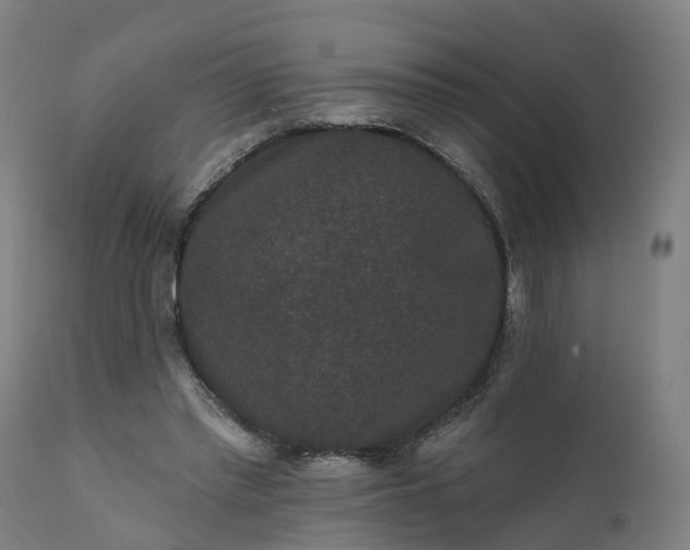 X0000111640397200907311257