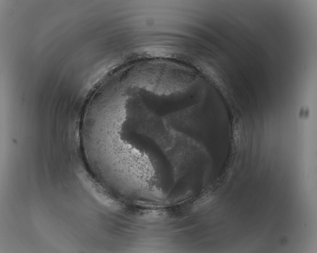 X0000111640398200907311257