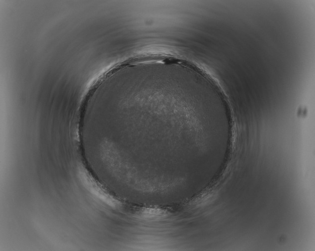 X0000111640399200907311257