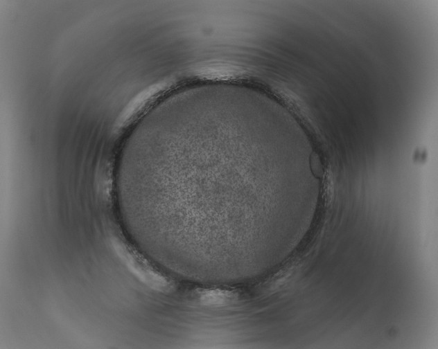 X0000111640400200907311257