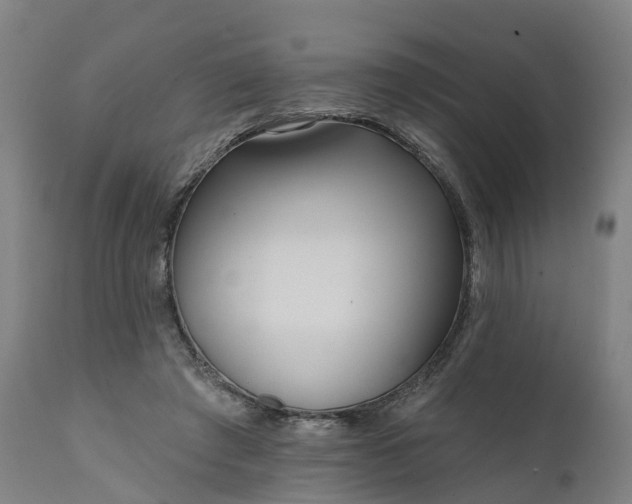 X0000111640401200907311257