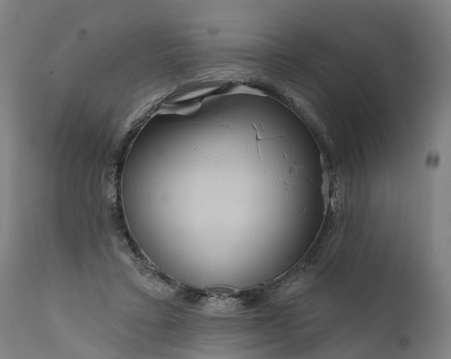 X0000111640403200907311257