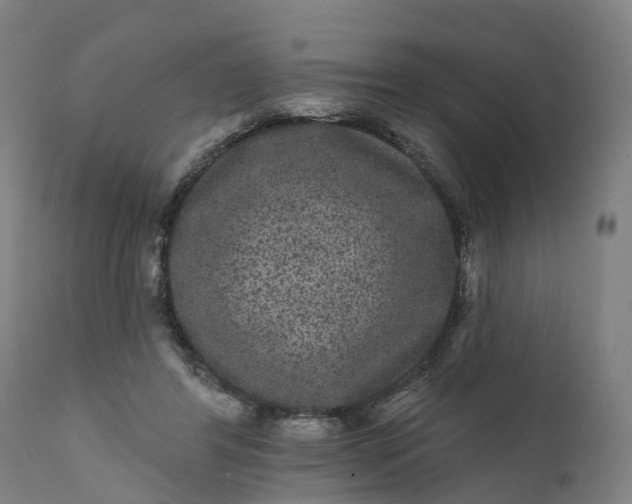 X0000111640404200907311257