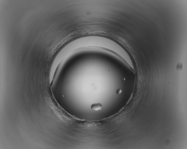 X0000111640405200907311257