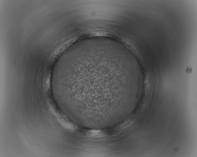 X0000111640406200907311257