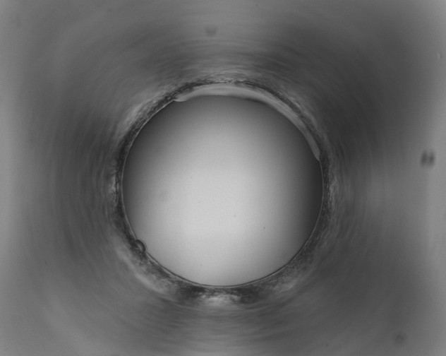 X0000111640407200907311257