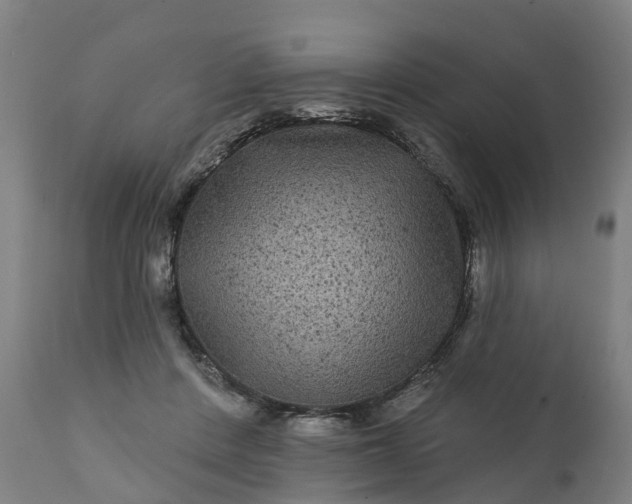 X0000111640408200907311257