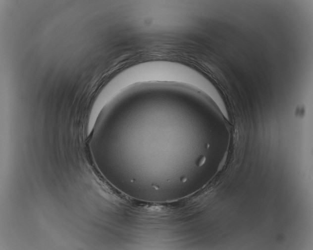 X0000111640409200907311257