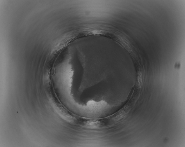 X0000111640410200907311257