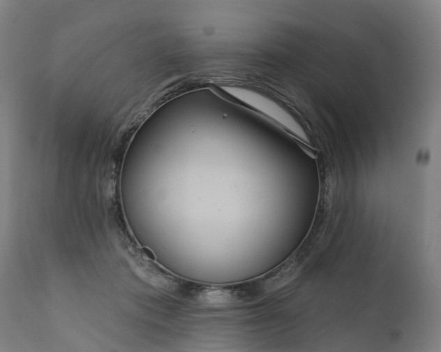 X0000111640413200907311257