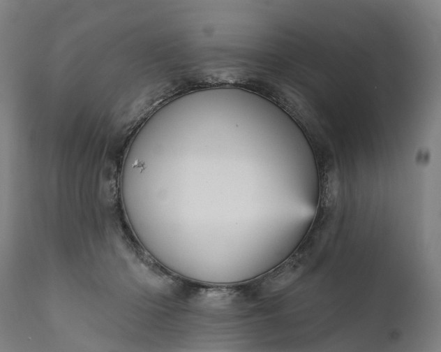 X0000111640414200907311257