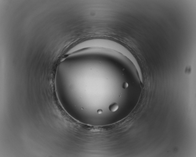 X0000111640415200907311257