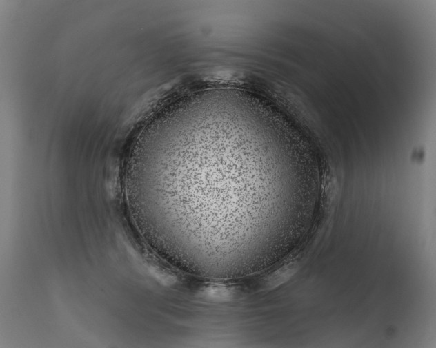 X0000111640416200907311257