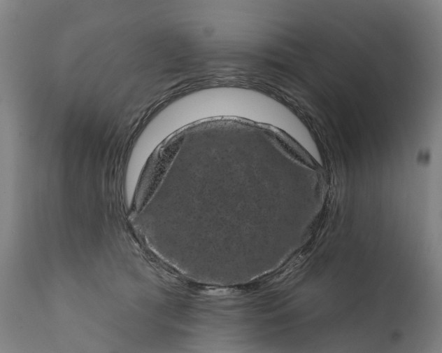 X0000111640417200907311257