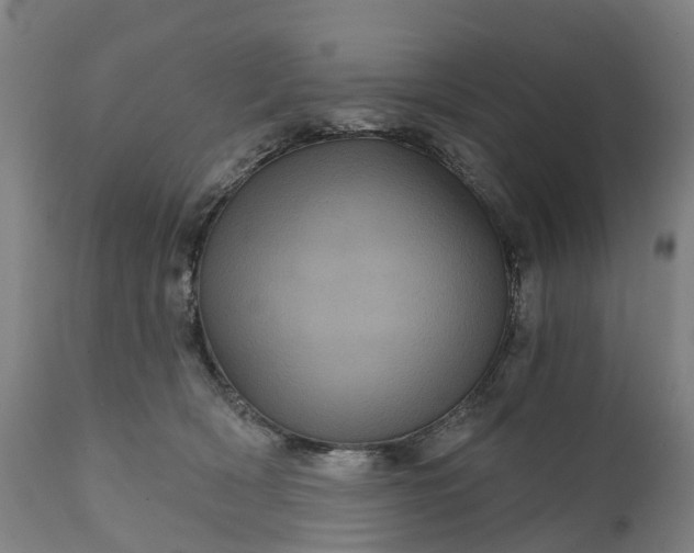 X0000111640418200907311257