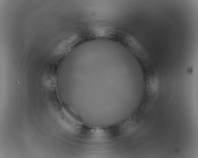 X0000111640419200907311257