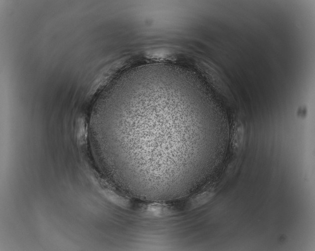 X0000111640420200907311257