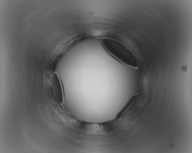 X0000111640421200907311257