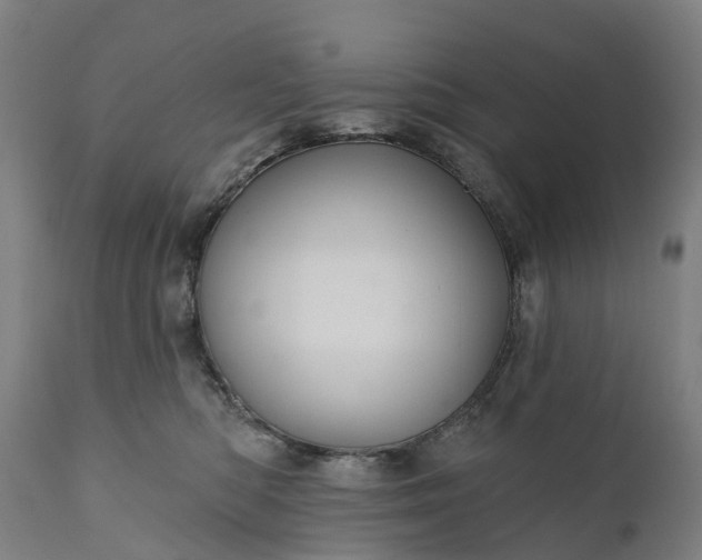 X0000111640422200907311257