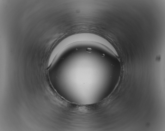 X0000111640423200907311257