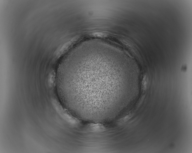 X0000111640424200907311257