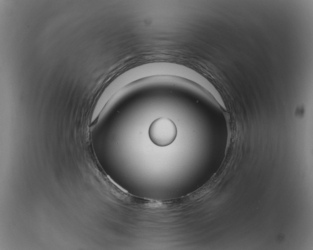 X0000111640425200907311257