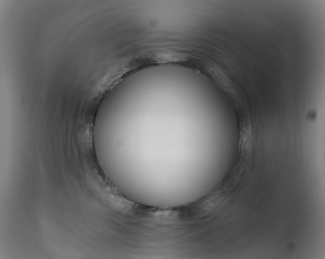 X0000111640426200907311256