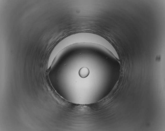 X0000111640427200907311256