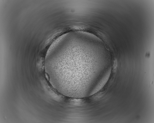 X0000111640428200907311256