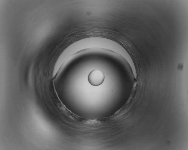 X0000111640429200907311256