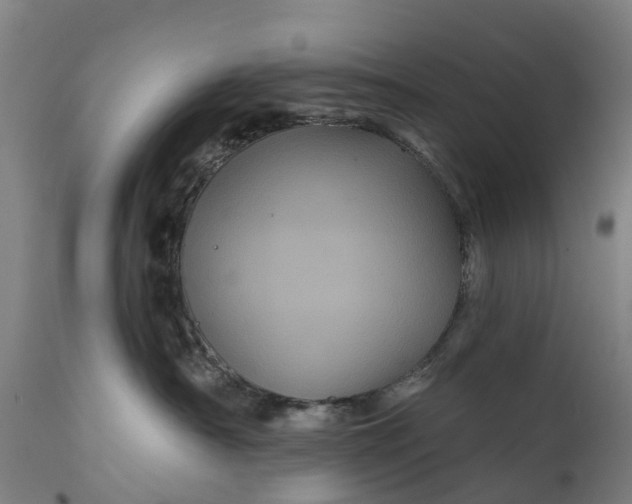 X0000111640430200907311256