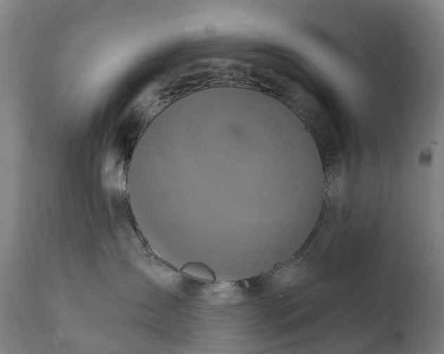 X0000111640431200907311256