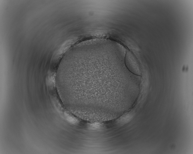 X0000111640432200907311256