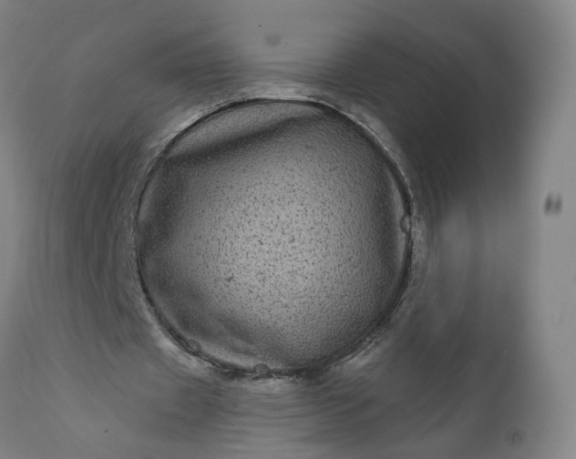 X0000111640433200907311256