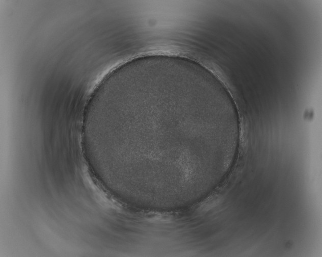 X0000111640434200907311256