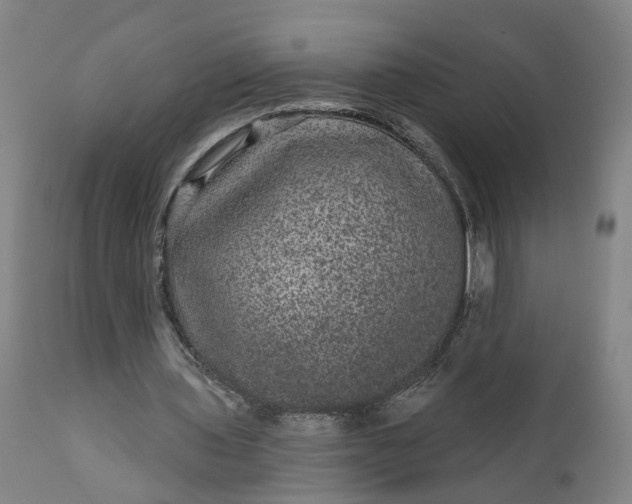 X0000111640435200907311256