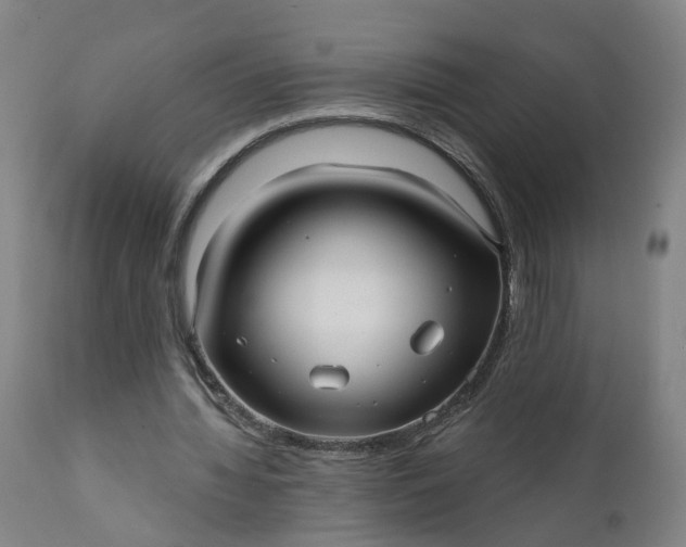 X0000111640436200907311256