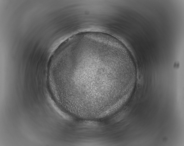 X0000111640437200907311256