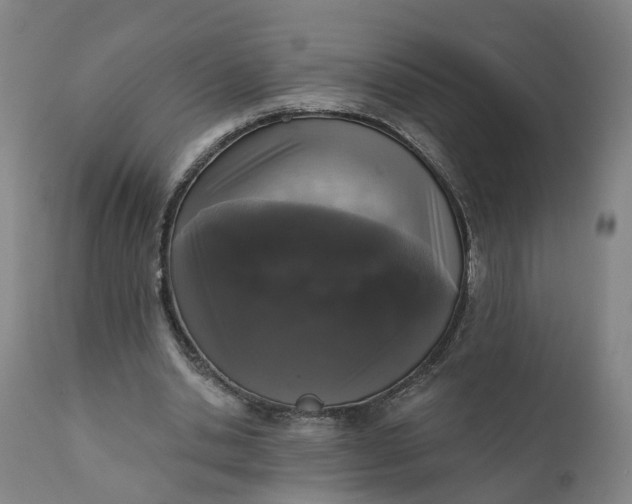 X0000111640438200907311256