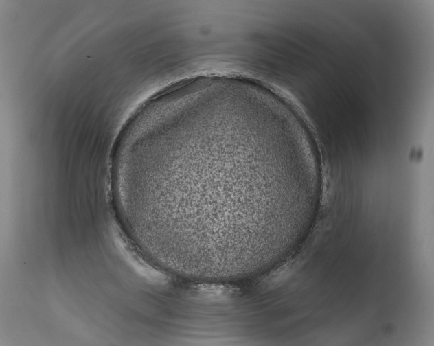 X0000111640439200907311256